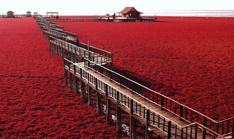 red-beach.jpg